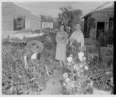 Women buying shrubbery